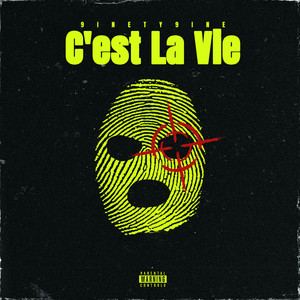 C'est la vie (Explicit)