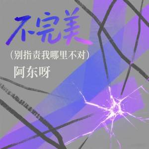不完美 (别指责我哪里不对)