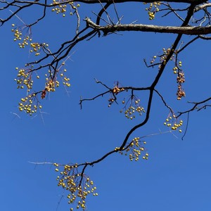 能回到过去吗-不加葱花