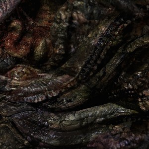 Exsciccation (Hyph11e Remix)