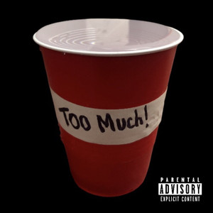 Too Much (Explicit)