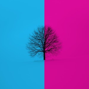 Emdr Heart Beat 60 Bpm Zen Rate