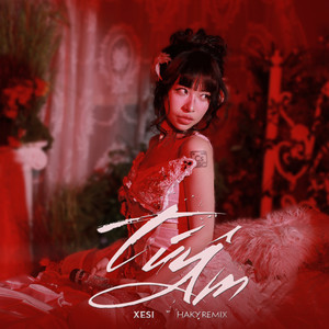 TUY AM (KAIZ REMIX)