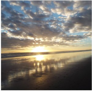 Rejuvenate Regenerate (Inst.)