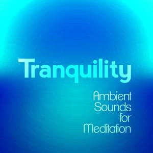 Tranquility: Ambient Sounds for Meditation