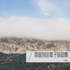 MR唐 - 你是我这辈子的劫数