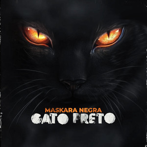 Gato Preto