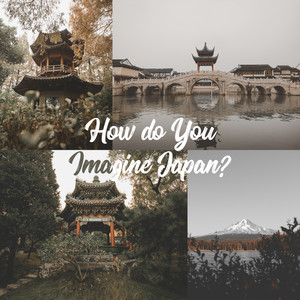 MediFuji Night Clubtation