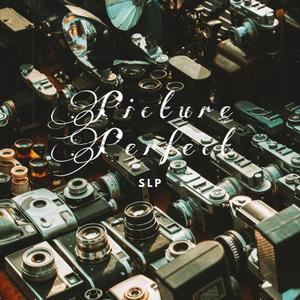 SLP - Picture Perfect