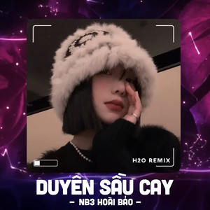 Duyên Sầu Cay (Remix)