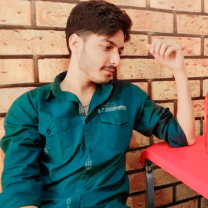 TU TO BADAL GAI MHARI JANU