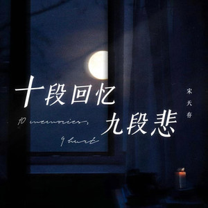 十段回忆九段悲 (DJ版)