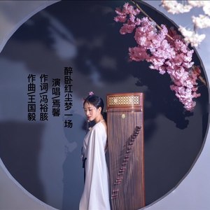 醉卧红尘梦一场