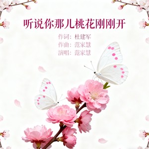 听说你那儿桃花刚刚开 (伴奏)