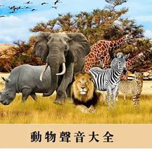 第121集.35种动物叫声音效大全合集