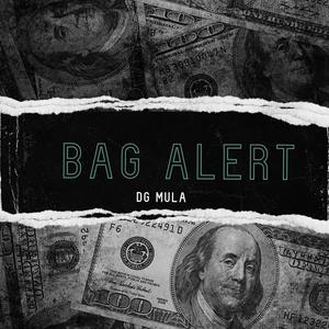 Bag Alert (Explicit)