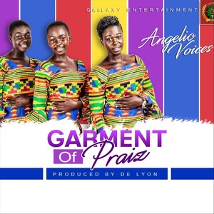 Garment Of Praiz