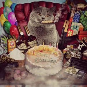 fangs (feat. soekll) (Explicit)