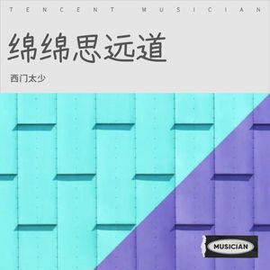 从此无心爱良夜封面
