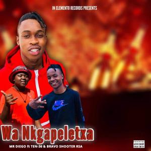 WA NGAPELETXA