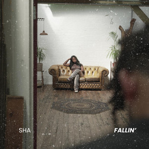 Fallin' (Remix)