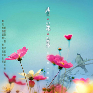 踏浪
