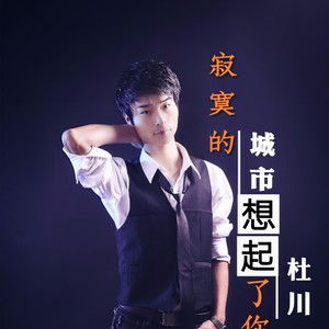 寂寞的城市想起了你