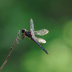 I Miss You (Explicit)