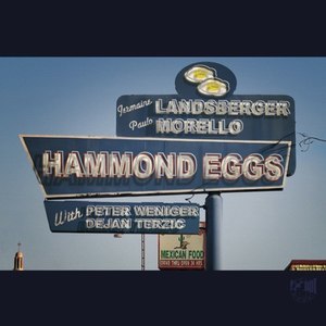 Hammond Eggs