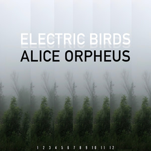 Electric Birds