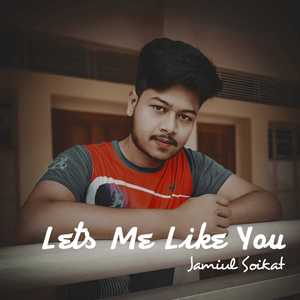 Lets Me Like You