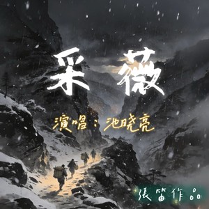 采薇  池晓亮 (伴奏)