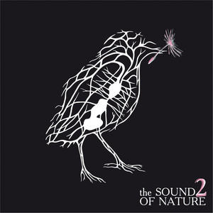 The Sound of Nature 2