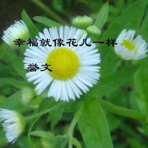 幸福就像花儿一样