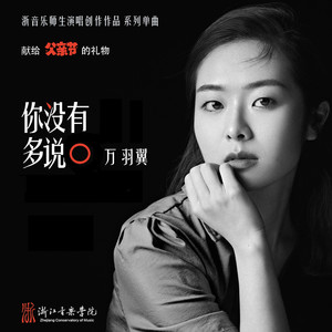 你没有多说