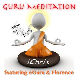 Guru Meditation (Radio Single)