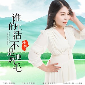 谁的生活不是一地鸡毛