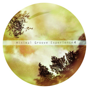 Minimal Groove Experince 4