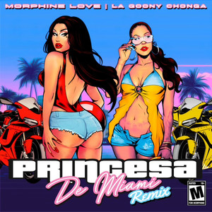 Princesa de Miami (Soundboyz Remix)