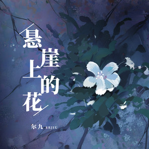 悬崖上的花 (伴奏)