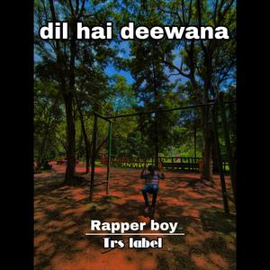 Dil hai deewana