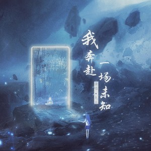 我奔赴一场未知