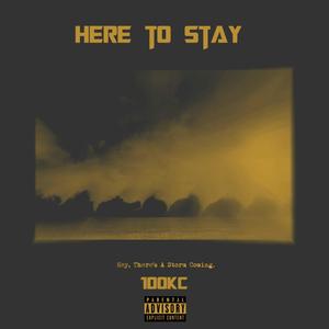 Here to Stay (Explicit)