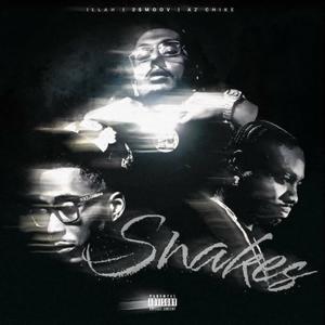 Snakes (feat. AZChike & Illah) [Explicit]