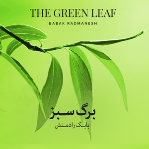 The Green Leaf (Persian Traditional Music)