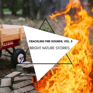 Bright Nature Stories - Crackling Fire Sounds, Vol. 5