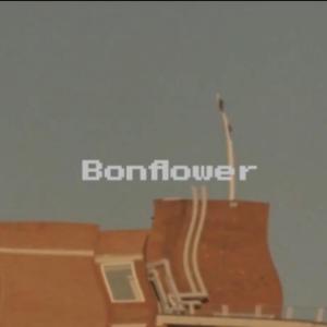 Bonflower