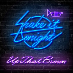 Shake It Tonight (Inst.)