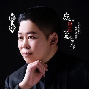 忘了自己忘不了你 (伴奏)