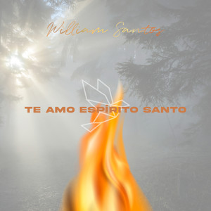 Te Amo Espírito Santo
